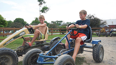 Pedal Carts Image