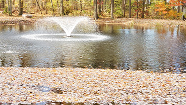 Fishing Pond Image