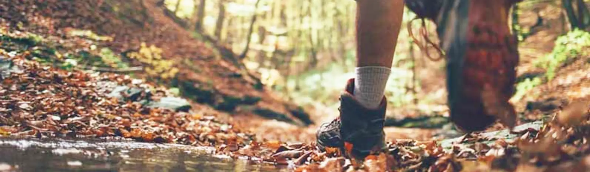 Lace Up & Hike the Juniata River Valley